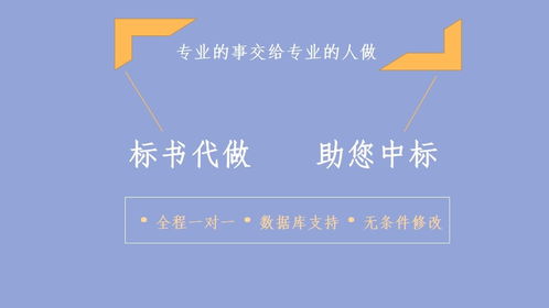 成都專業(yè)項目計劃書撰寫、報告定制與項目策劃公關一體化服務指南