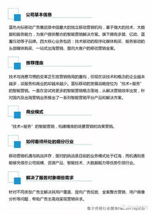 2017中國數(shù)字營銷行業(yè)洞察 數(shù)據(jù)服務驅動下的TOP100公司格局